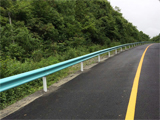 贵阳护栏网，贵州护栏网，百里杜鹃旅游公路安保工程